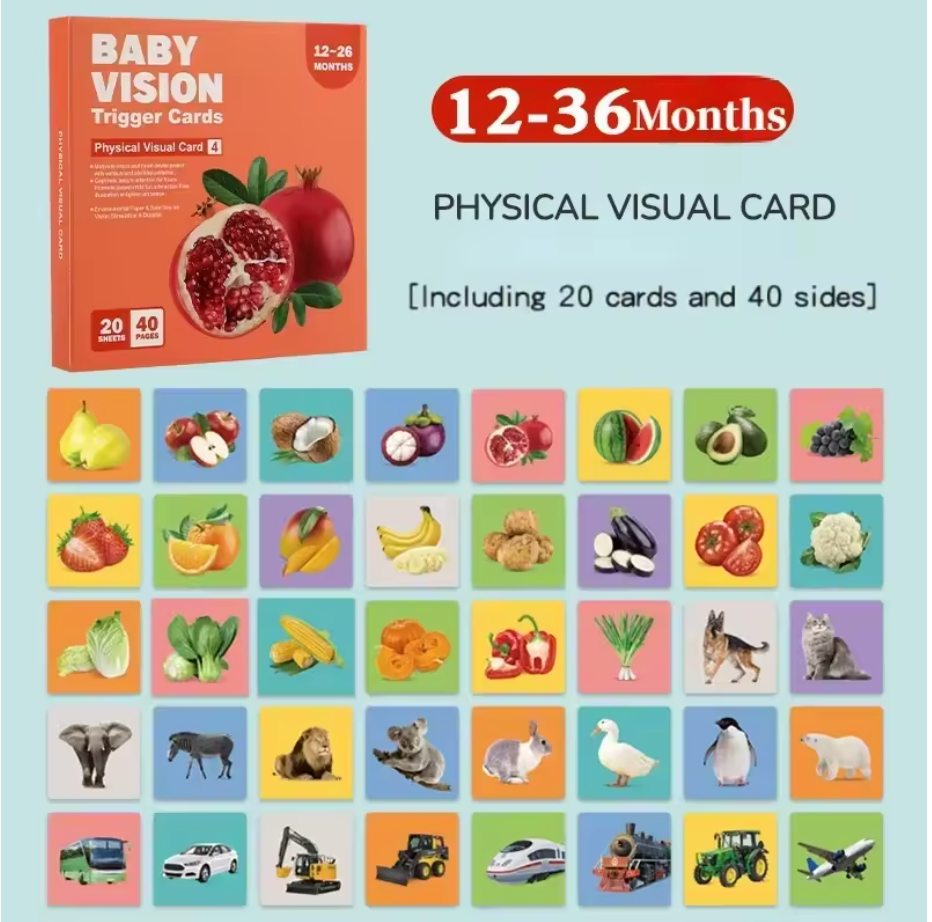 Montessori Baby Vision Cards
